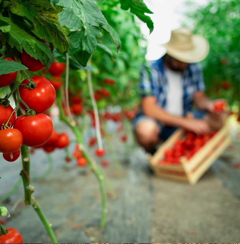 recrutare-personal-agricultura-3